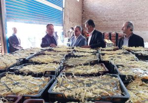 بررسی میدانی سرپرست فرمانداری شهرستان محلات از محل عرضه‌ی میوه‌ی تنظیم‌بازاری