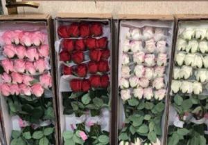 کشف ۸۹ میلیارد ریال گل مصنوعی قاچاق در اراک