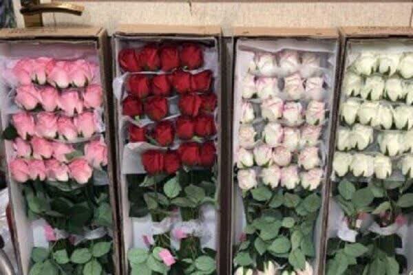 کشف ۸۹ میلیارد ریال گل مصنوعی قاچاق در اراک