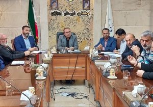 آسیب‌شناسی اردوی گروه جهادی امام رضا(ع)