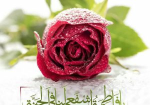 کریمه اهل‌بیت ، پناه تمام شیعیان