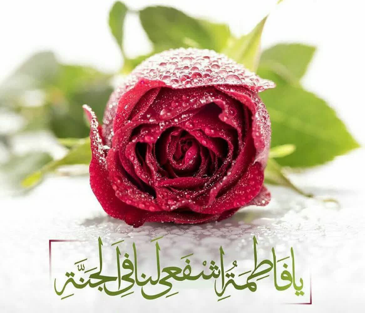 کریمه اهل‌بیت ، پناه تمام شیعیان