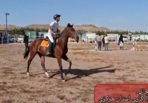 نخستین دوره پرش با اسب استان مرکزی در شهرستان محلات