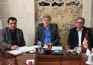 کمیسیون مبارزه با قاچاق کالا و ارز