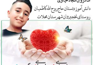 کودکی رفت، اما زندگی ماند؛ اهدای عضو دانش‌آموز محلاتی جان‌بخش شد