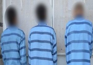 دستگیری سارقان اماکن خصوصی در محلات