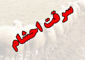 هشدار پلیس محلات در پیشگیری از سرقت احشام