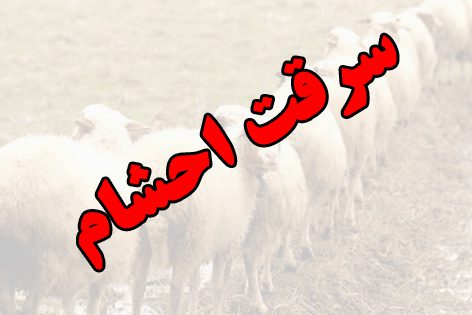 هشدار پلیس محلات در پیشگیری از سرقت احشام